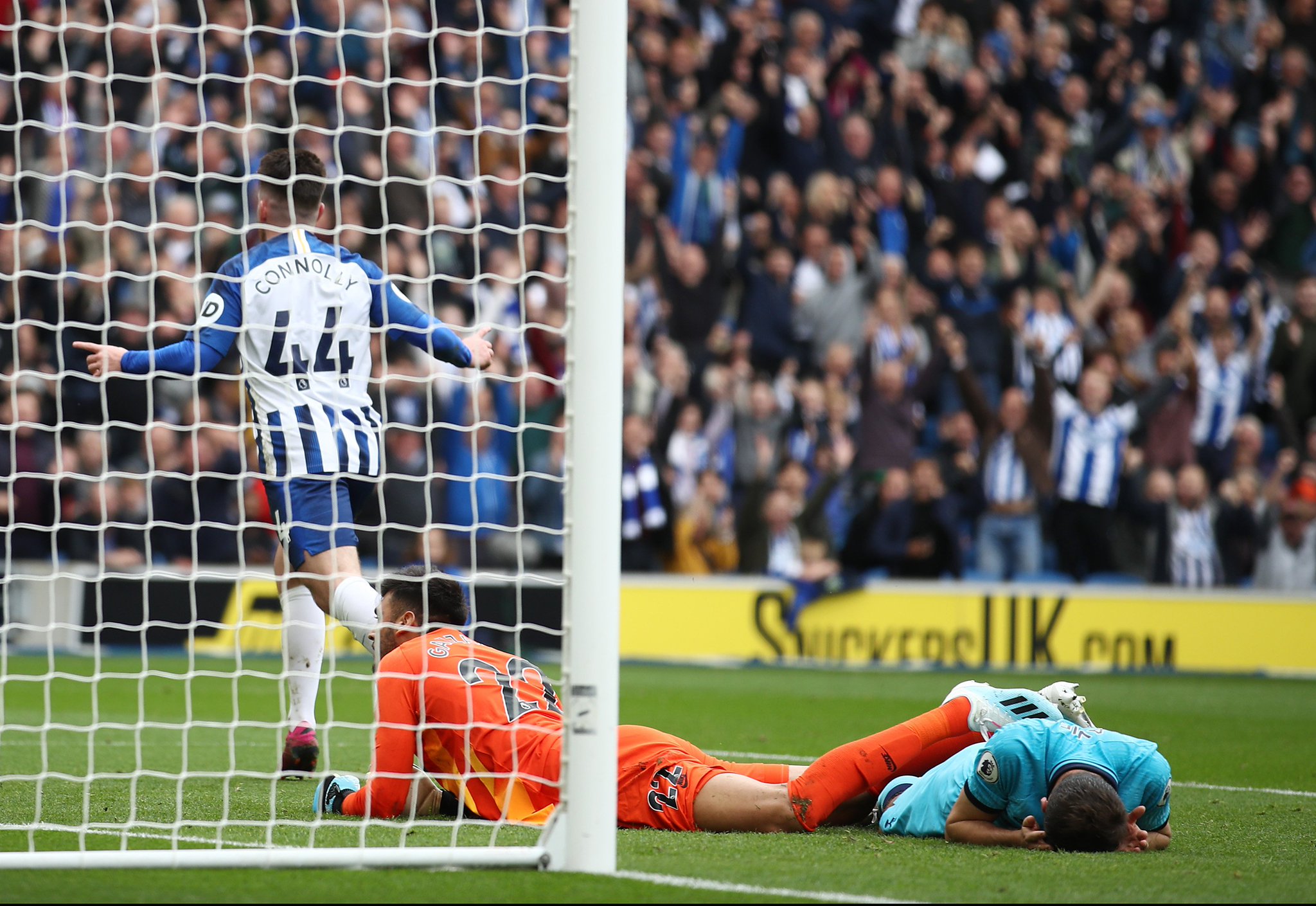 他们的迅速 他们的迅速